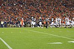 DSC_0973.JPG