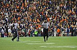 DSC_1011.JPG
