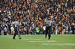 DSC_1012.JPG
