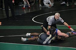 IMG_2017.JPG