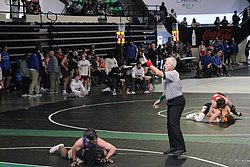 IMG_2031.JPG