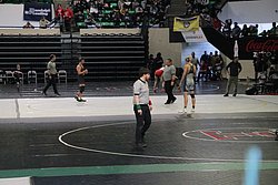 IMG_2036.JPG