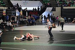 IMG_2041.JPG