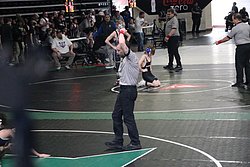 IMG_2177.JPG