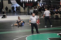 IMG_2203.JPG