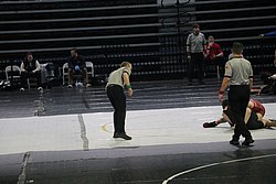 IMG_2264.JPG