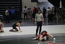 IMG_2282.JPG