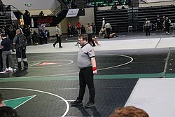 IMG_2343.JPG
