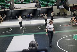 IMG_2358.JPG
