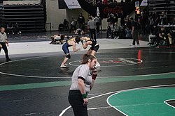IMG_2370.JPG