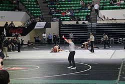 IMG_2374.JPG