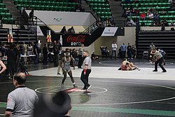 IMG_2375.JPG