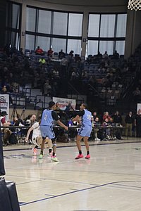IMG_4939.JPG