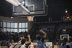 IMG_5150.JPG