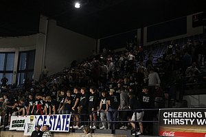 IMG_5433.JPG